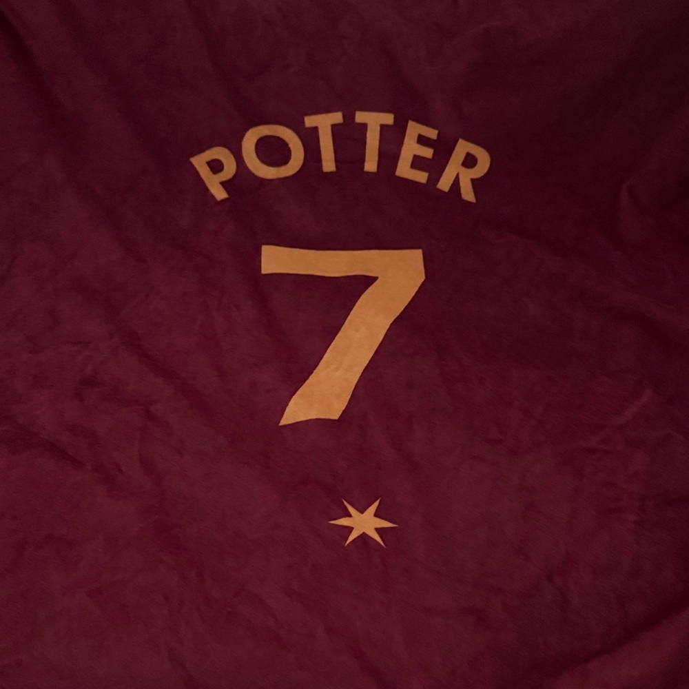 Red and Gold Potter 7 Blanket